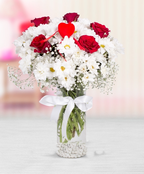 vazolu-5-gullu-papatyalar