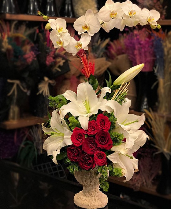 orkide-ve-aranjman