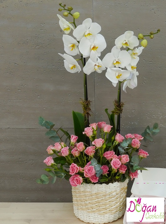 tuyap-sepette-orkide-aranjmani
