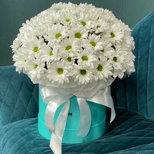 kutuda-papatya-cicek